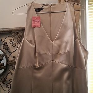 Champagne Sheath dress